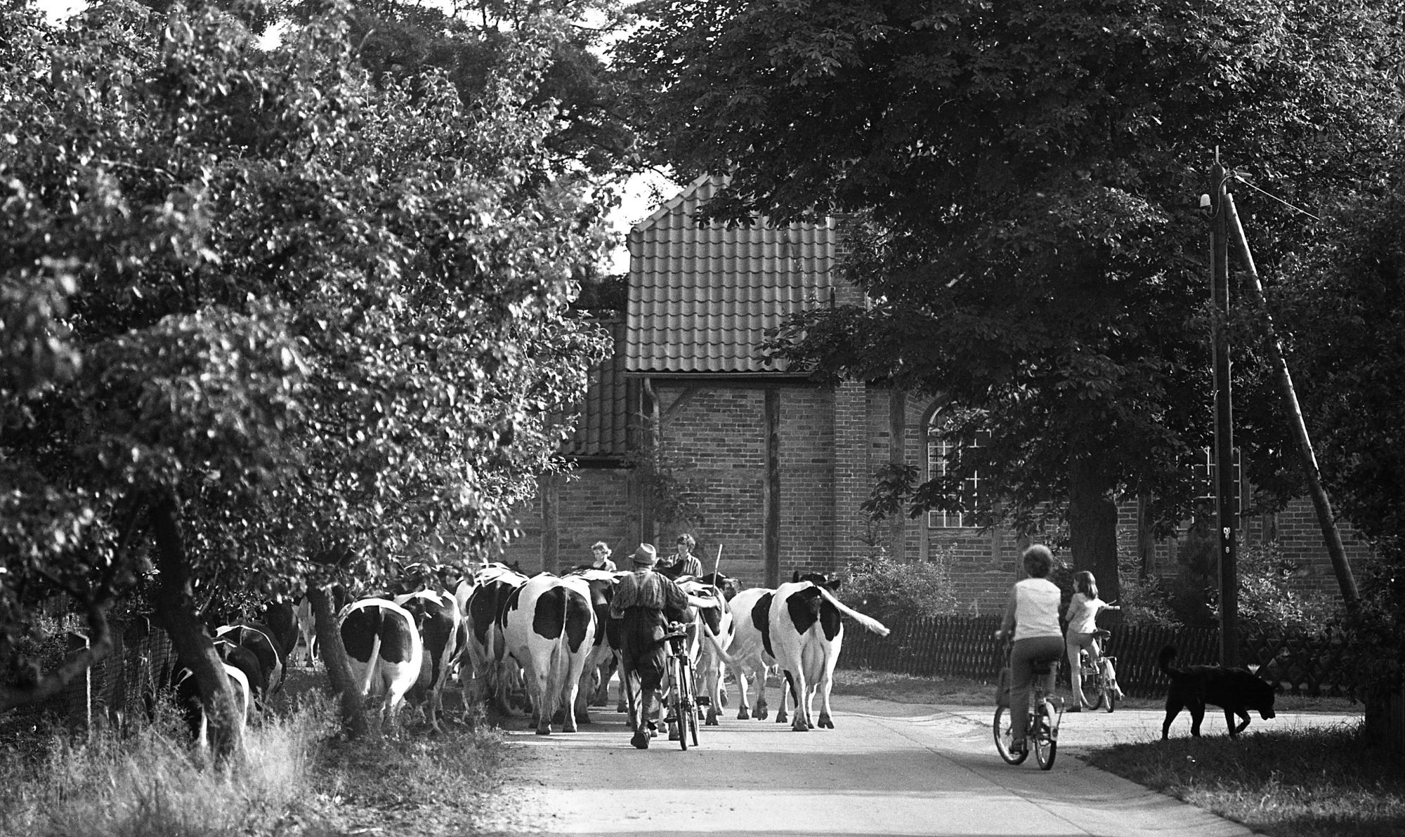 Sie sucht ihn wendland