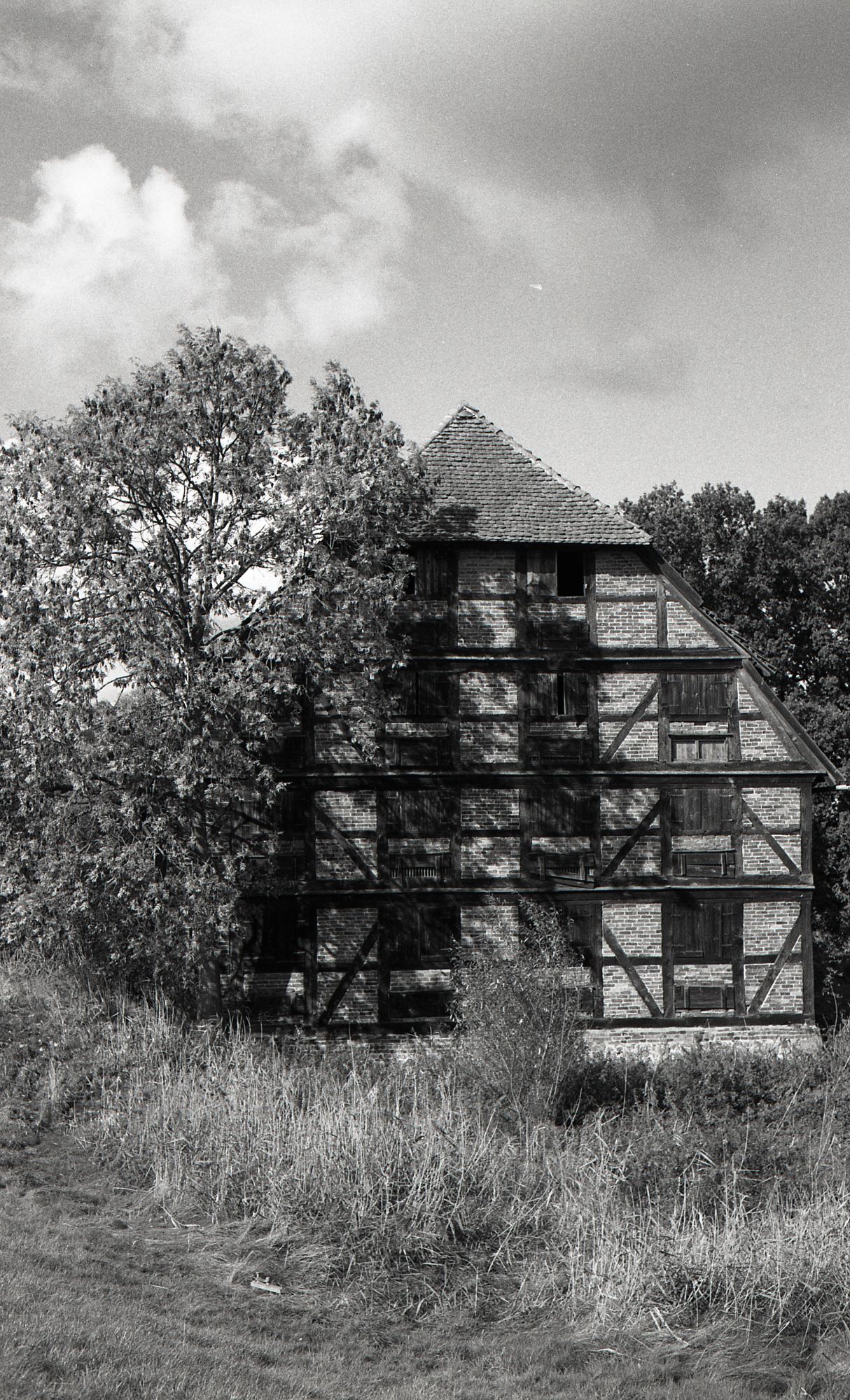 Sie sucht ihn wendland