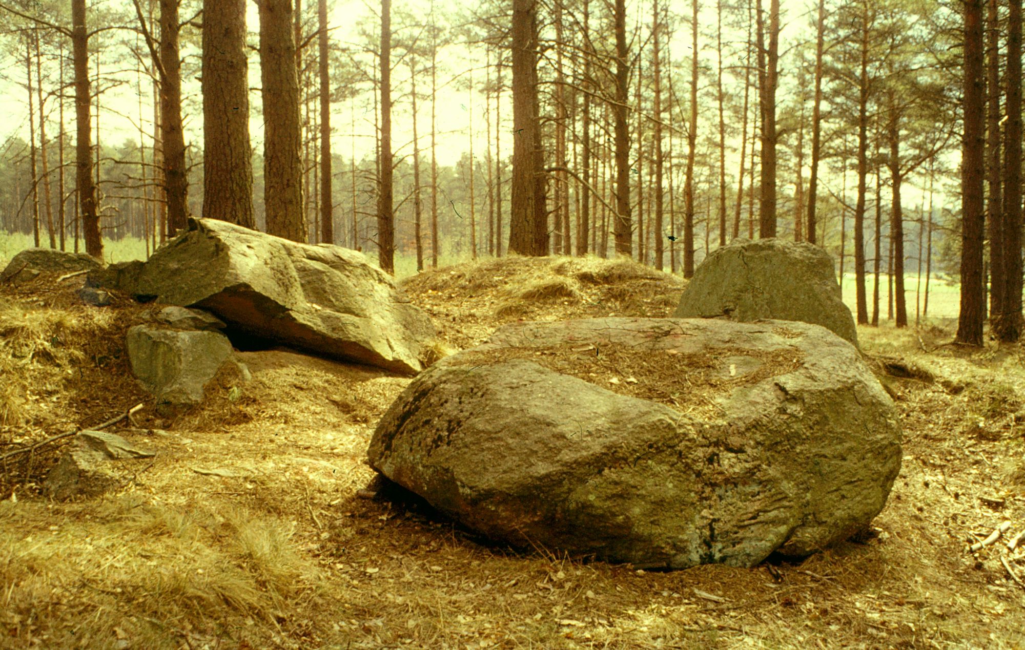 WendlandArchiv Großsteingrab